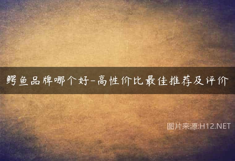 鳄鱼品牌哪个好-高性价比最佳推荐及评价