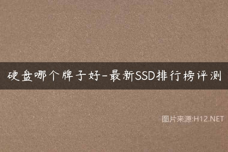 硬盘哪个牌子好-最新SSD排行榜评测