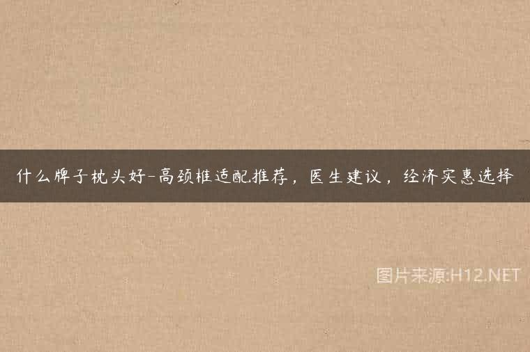 什么牌子枕头好-高颈椎适配推荐，医生建议，经济实惠选择
