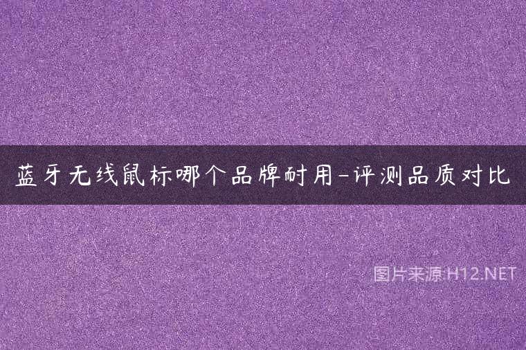 蓝牙无线鼠标哪个品牌耐用-评测品质对比