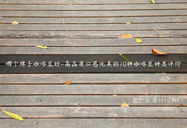 哪个牌子咖啡豆好-高品质口感优美的10种咖啡豆种类评价