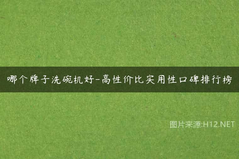哪个牌子洗碗机好-高性价比实用性口碑排行榜