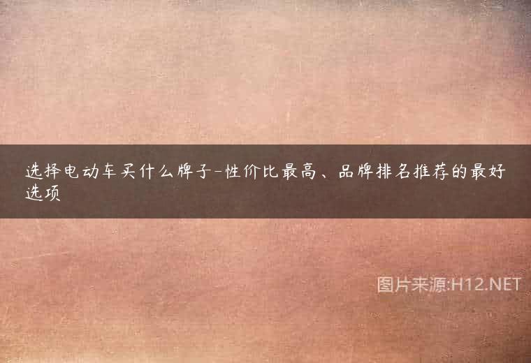 选择电动车买什么牌子-性价比最高、品牌排名推荐的最好选项