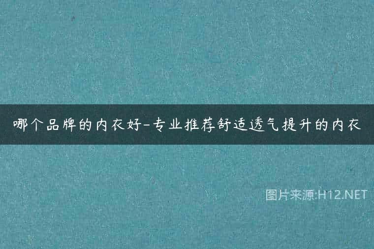 哪个品牌的内衣好-专业推荐舒适透气提升的内衣