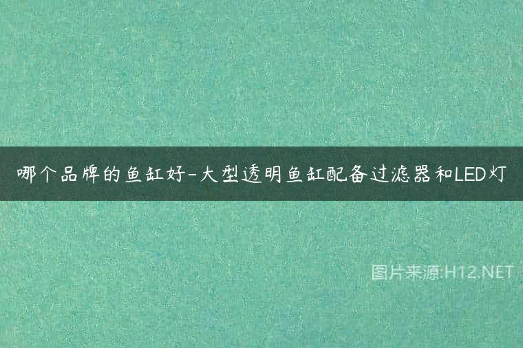 哪个品牌的鱼缸好-大型透明鱼缸配备过滤器和LED灯