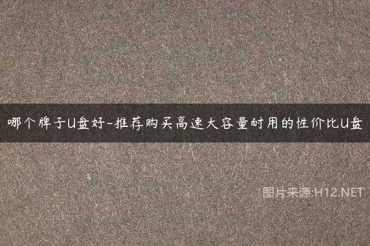 哪个牌子U盘好-推荐购买高速大容量耐用的性价比U盘