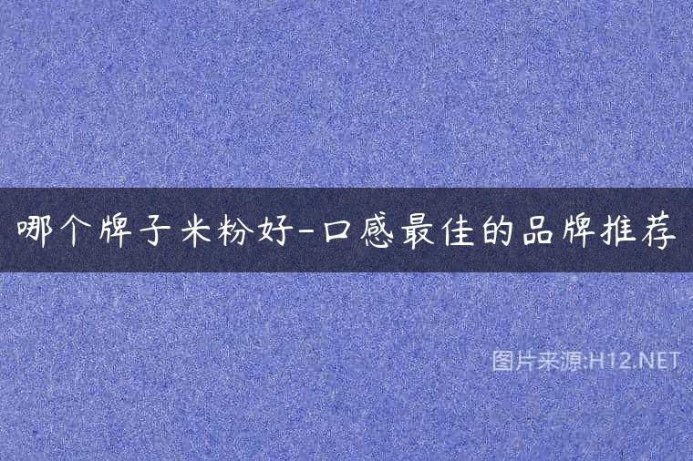 哪个牌子米粉好-口感最佳的品牌推荐