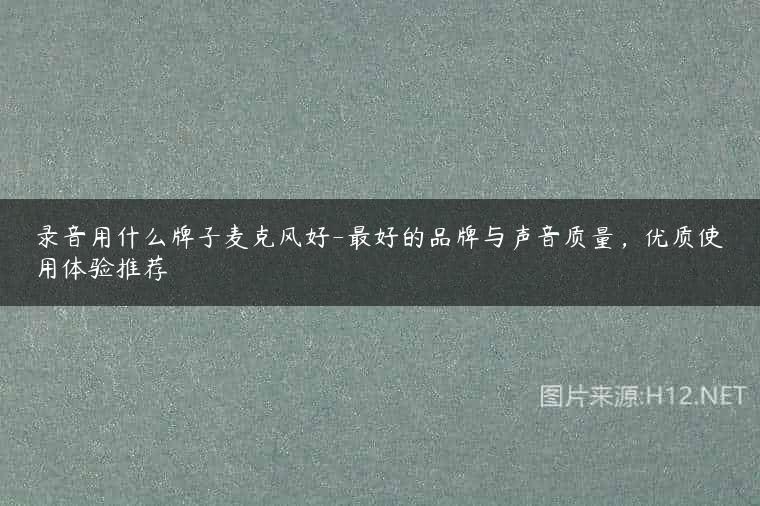 录音用什么牌子麦克风好-最好的品牌与声音质量，优质使用体验推荐
