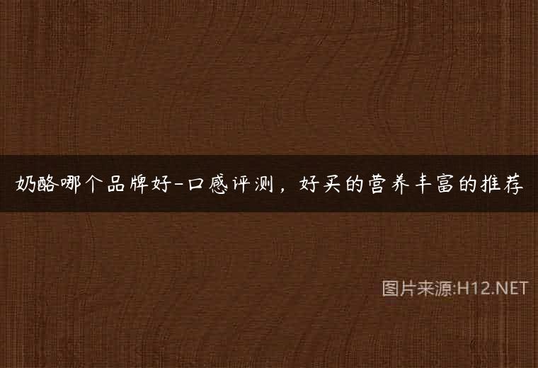 奶酪哪个品牌好-口感评测，好买的营养丰富的推荐