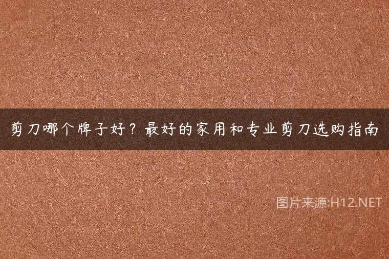 剪刀哪个牌子好？最好的家用和专业剪刀选购指南