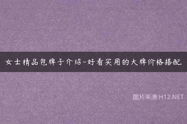 女士精品包牌子介绍-好看实用的大牌价格搭配