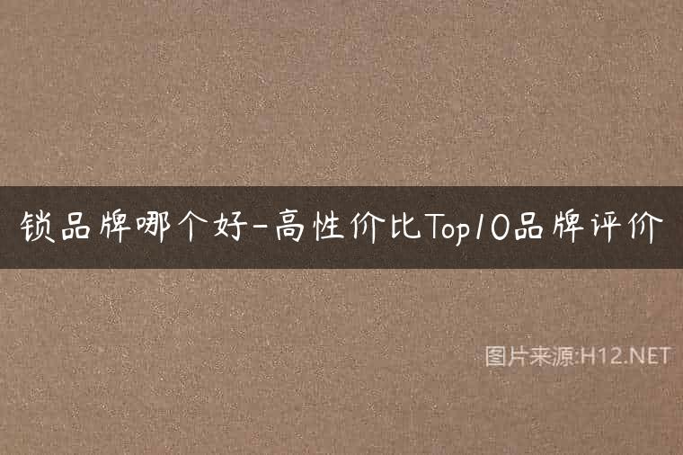 锁品牌哪个好-高性价比Top10品牌评价