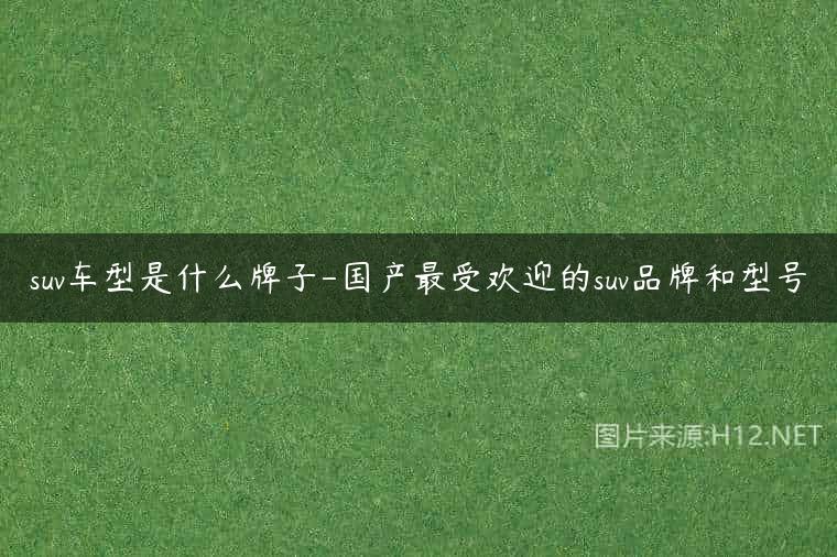 suv车型是什么牌子-国产最受欢迎的suv品牌和型号