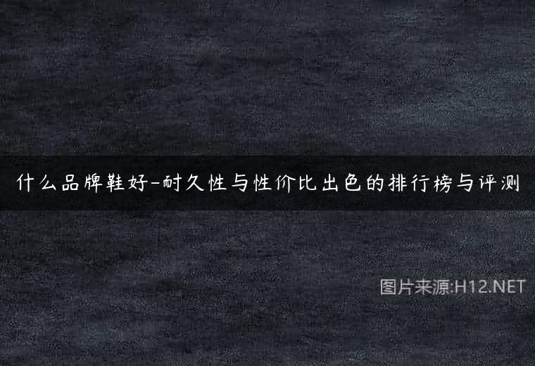 什么品牌鞋好-耐久性与性价比出色的排行榜与评测
