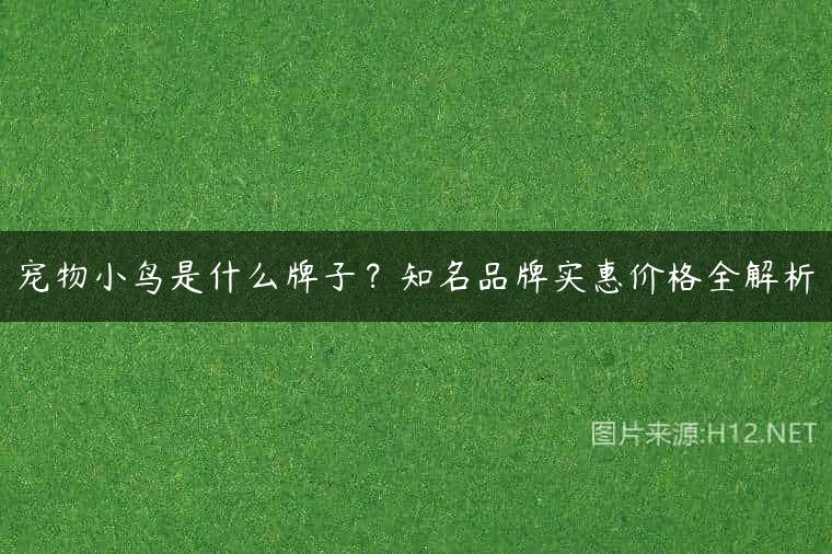 宠物小鸟是什么牌子？知名品牌实惠价格全解析