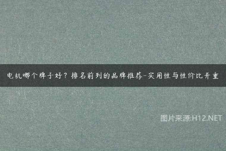 电机哪个牌子好？排名前列的品牌推荐-实用性与性价比并重