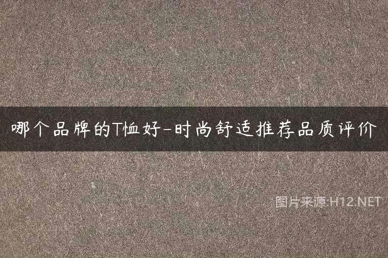 哪个品牌的T恤好-时尚舒适推荐品质评价