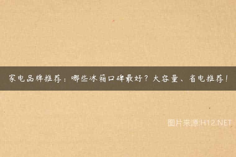 家电品牌推荐：哪些冰箱口碑最好？大容量、省电推荐！