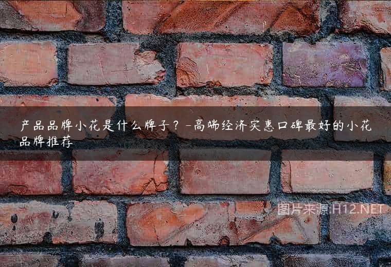 产品品牌小花是什么牌子？-高端经济实惠口碑最好的小花品牌推荐