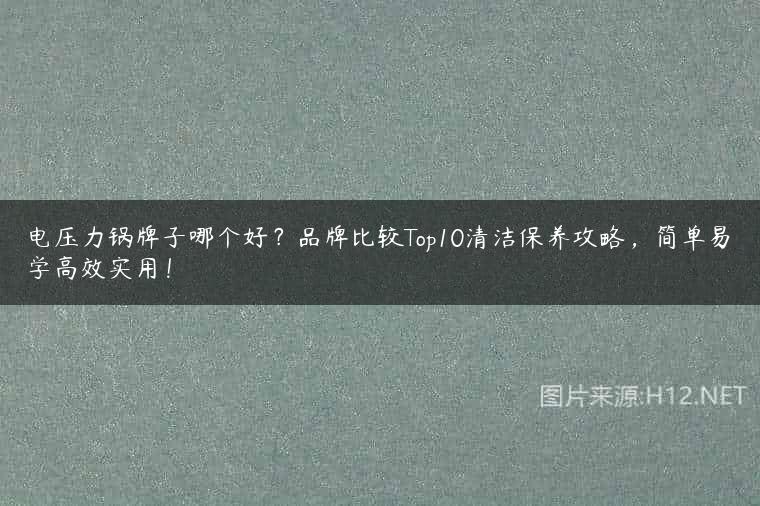 电压力锅牌子哪个好？品牌比较Top10清洁保养攻略，简单易学高效实用！