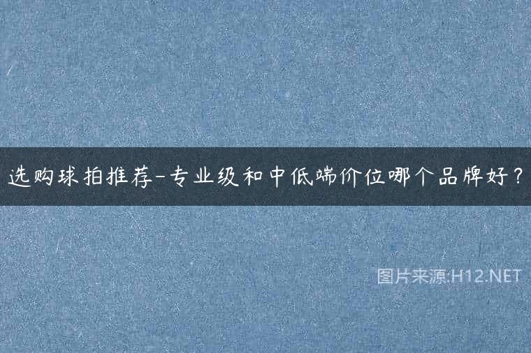 选购球拍推荐-专业级和中低端价位哪个品牌好？
