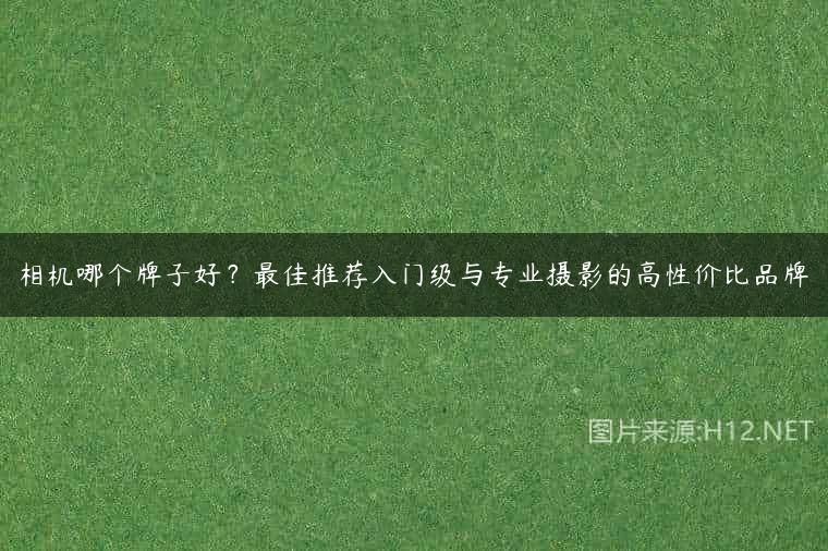 相机哪个牌子好？最佳推荐入门级与专业摄影的高性价比品牌