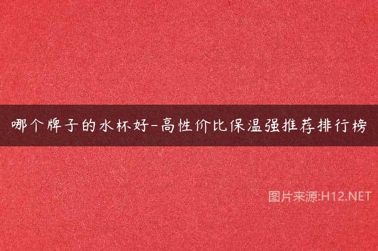 哪个牌子的水杯好-高性价比保温强推荐排行榜