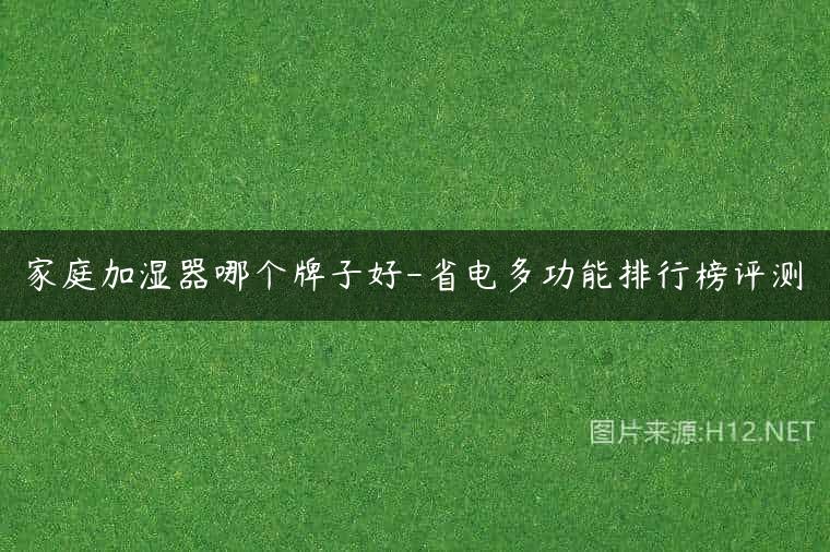 家庭加湿器哪个牌子好-省电多功能排行榜评测