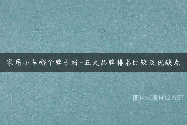 家用小车哪个牌子好-五大品牌排名比较及优缺点