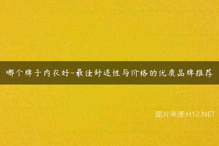 哪个牌子内衣好-最佳舒适性与价格的优质品牌推荐