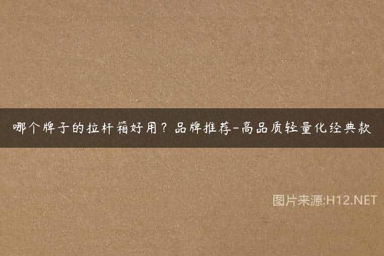 哪个牌子的拉杆箱好用？品牌推荐-高品质轻量化经典款