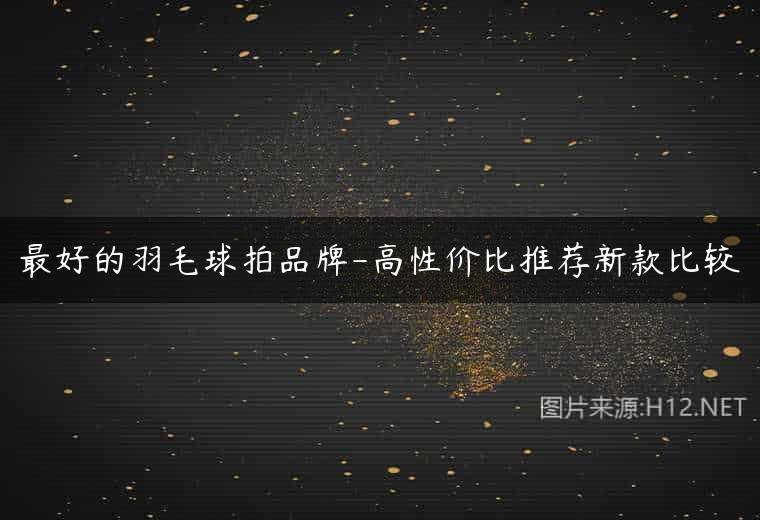 最好的羽毛球拍品牌-高性价比推荐新款比较