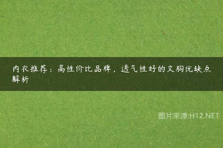 内衣推荐：高性价比品牌，透气性好的文胸优缺点解析