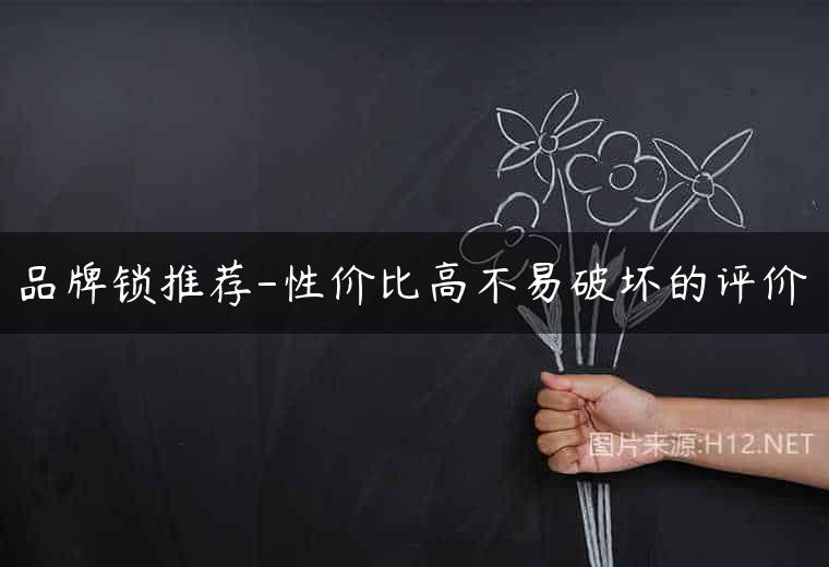 品牌锁推荐-性价比高不易破坏的评价