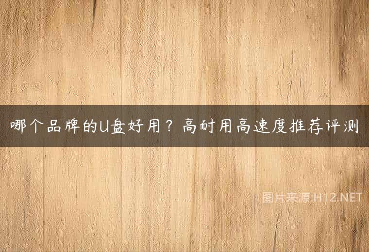 哪个品牌的U盘好用？高耐用高速度推荐评测