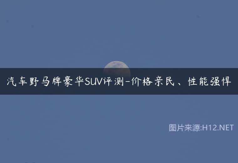 汽车野马牌豪华SUV评测-价格亲民、性能强悍