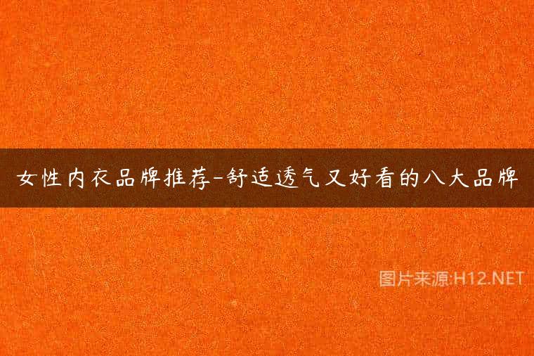 女性内衣品牌推荐-舒适透气又好看的八大品牌