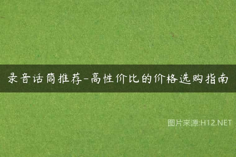 录音话筒推荐-高性价比的价格选购指南