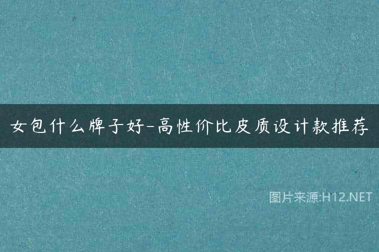 女包什么牌子好-高性价比皮质设计款推荐