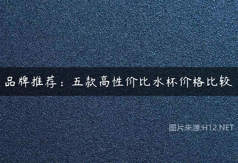 品牌推荐：五款高性价比水杯价格比较