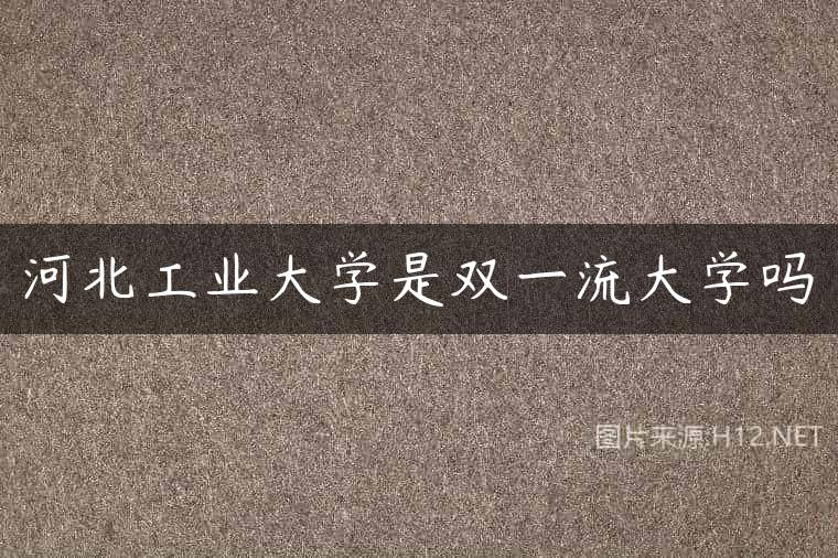 河北工业大学是双一流大学吗