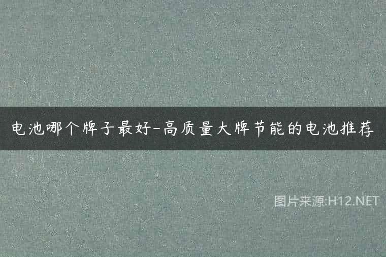电池哪个牌子最好-高质量大牌节能的电池推荐