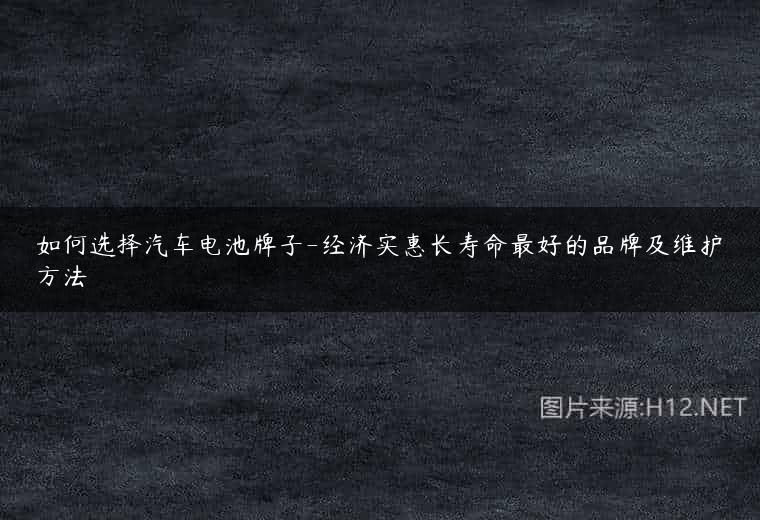 如何选择汽车电池牌子-经济实惠长寿命最好的品牌及维护方法