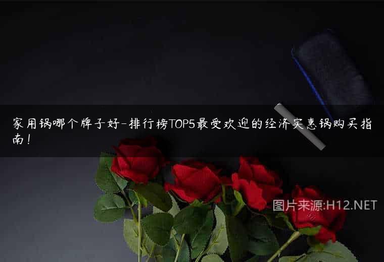 家用锅哪个牌子好-排行榜TOP5最受欢迎的经济实惠锅购买指南！