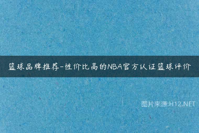 篮球品牌推荐-性价比高的NBA官方认证篮球评价
