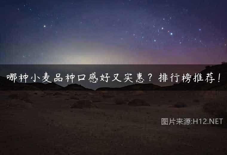 哪种小麦品种口感好又实惠？排行榜推荐！