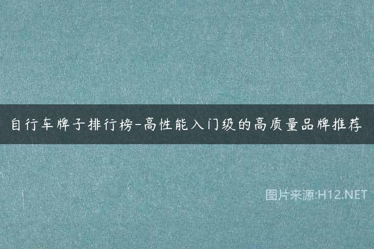 自行车牌子排行榜-高性能入门级的高质量品牌推荐