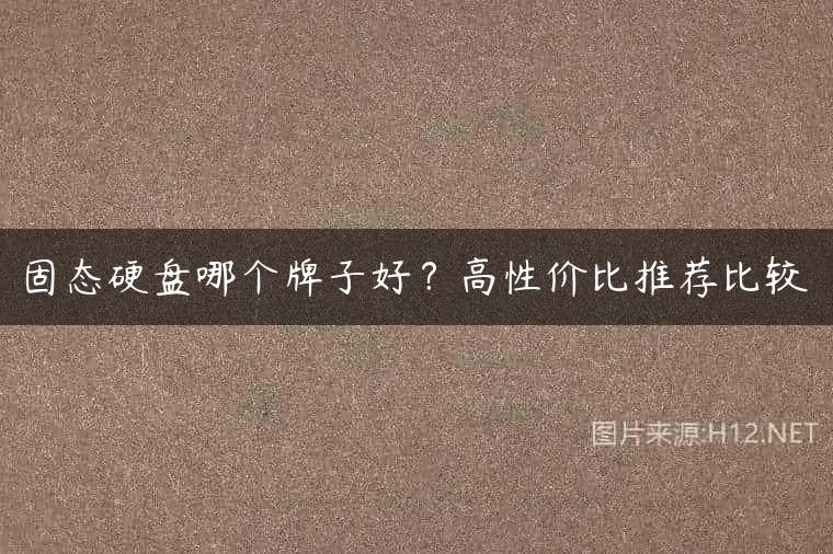 固态硬盘哪个牌子好？高性价比推荐比较