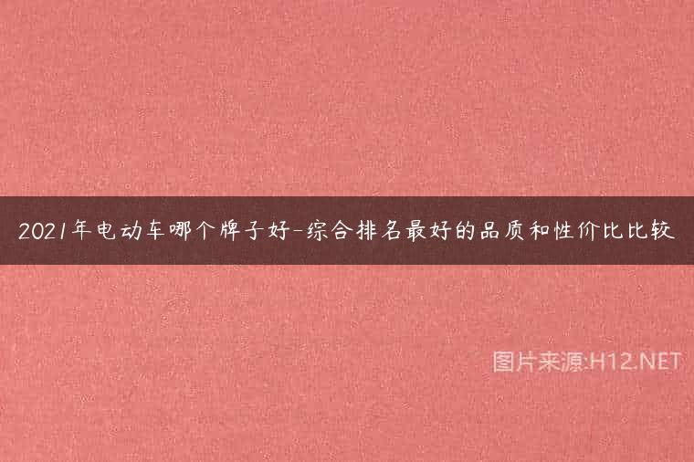 2021年电动车哪个牌子好-综合排名最好的品质和性价比比较
