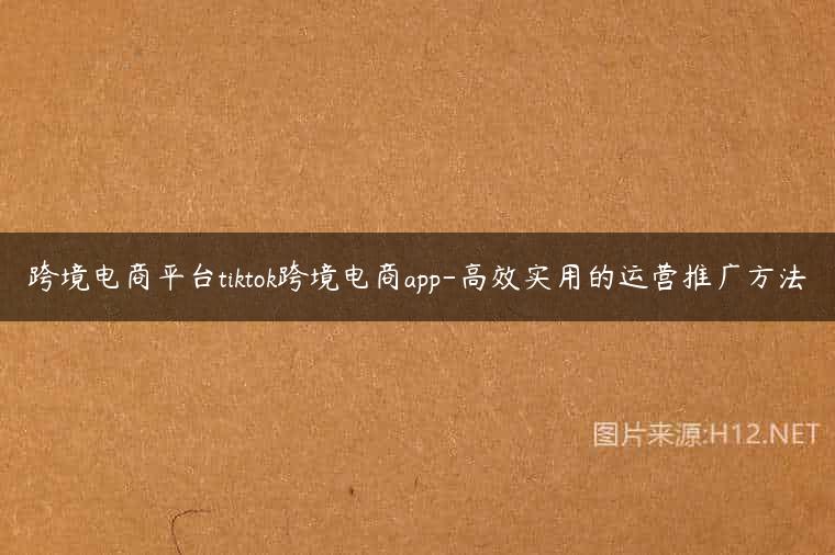 跨境电商平台tiktok跨境电商app-高效实用的运营推广方法